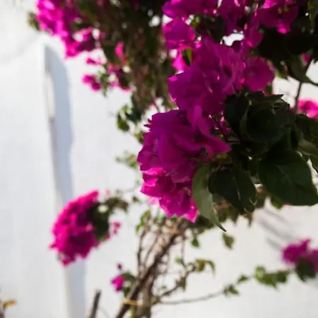 Blue Waves Mykonos Дом отдыха Калафатис