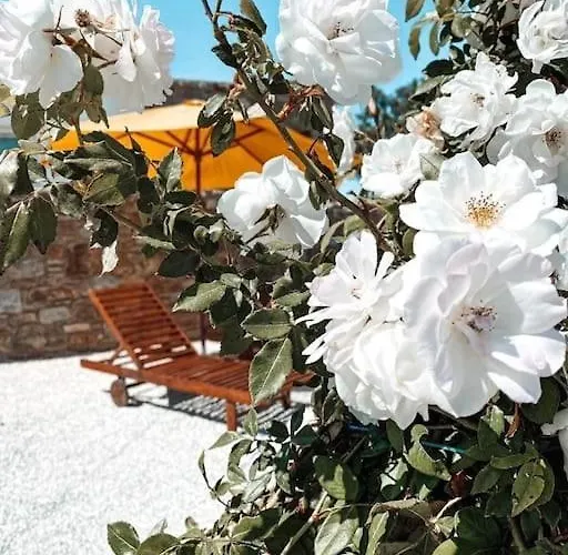 Дом отдыха Blue Waves Mykonos Калафатис