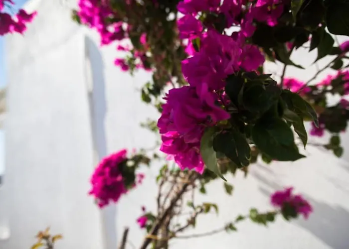 Blue Waves Mykonos Дом отдыха Калафатис