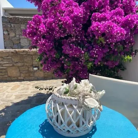 度假居 Blue Waves Mykonos 卡拉法蒂斯