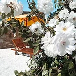 度假居 Blue Waves Mykonos 卡拉法蒂斯