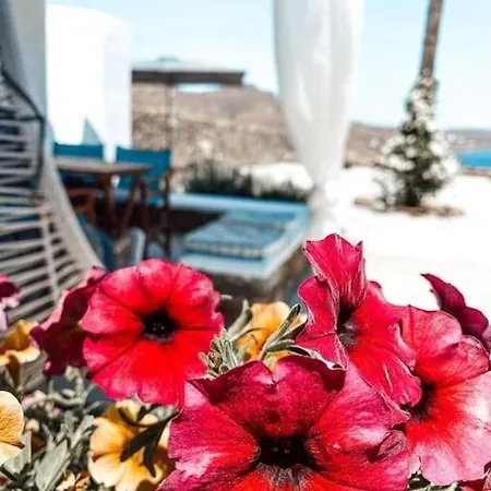 Blue Waves Mykonos 칼라파티스