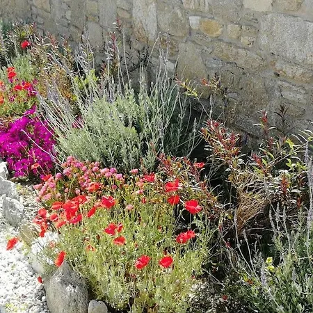 Blue Waves Mykonos 펜션 칼라파티스