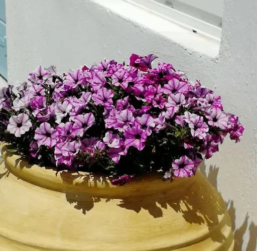 Nyaraló Blue Waves Mykonos