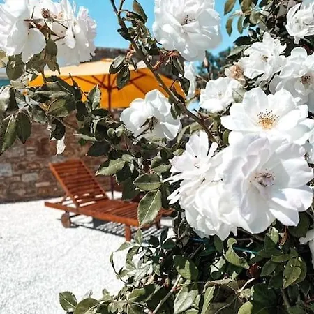 Tatil Evi Blue Waves Mykonos Kalafatis